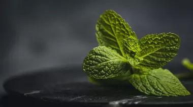 garnishing-instructions-image